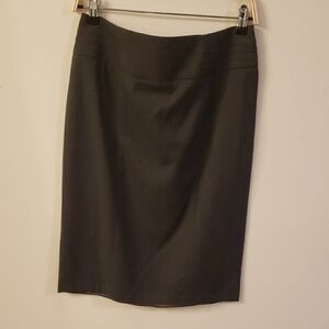 Elegant Gray Women's Skirt
